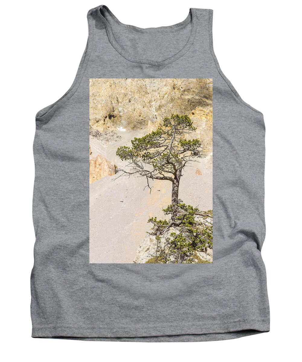 Tree Tank Top featuring the photograph A lonely pine - 1 by Paul MAURICE
