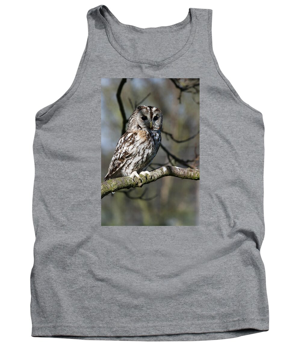 Tawny Owl Tank Top featuring the photograph A Tawny Owl by Andy Myatt