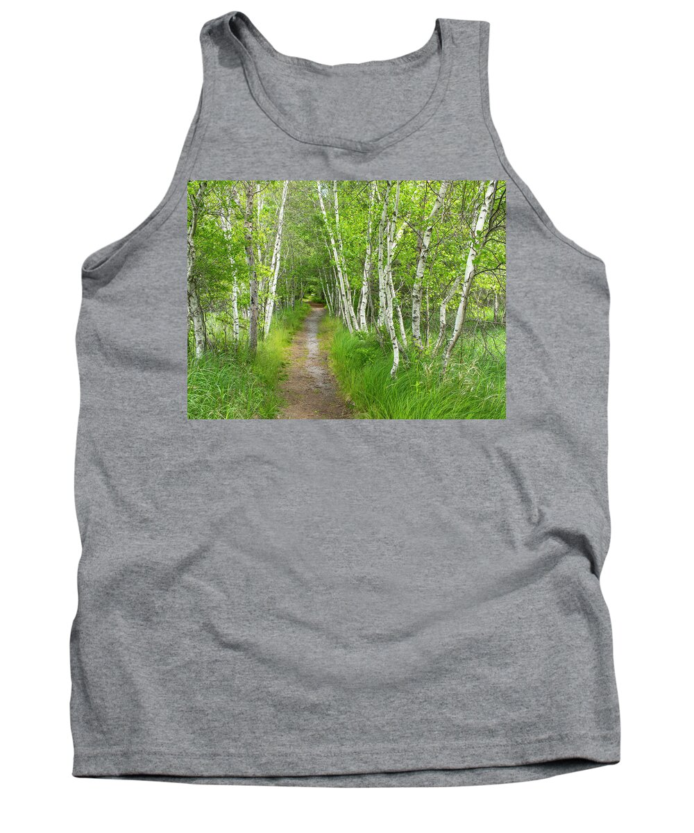 Acadia National Park Tank Top featuring the photograph A Walk in the Woods by Holly Ross