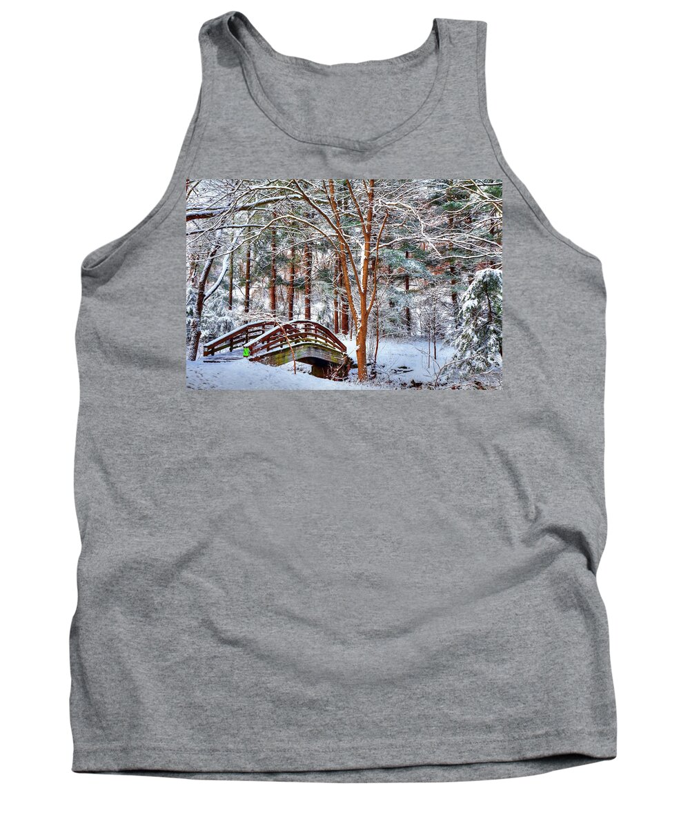 Botanical Gardens Asheville North Carolina Tank Top featuring the photograph A Winters Painting by Carol Montoya