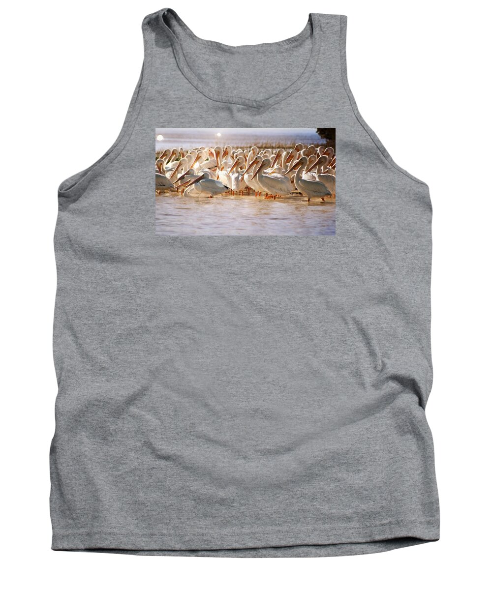 Pelican Tank Top featuring the photograph Aglow White Pelicans by Sheri McLeroy