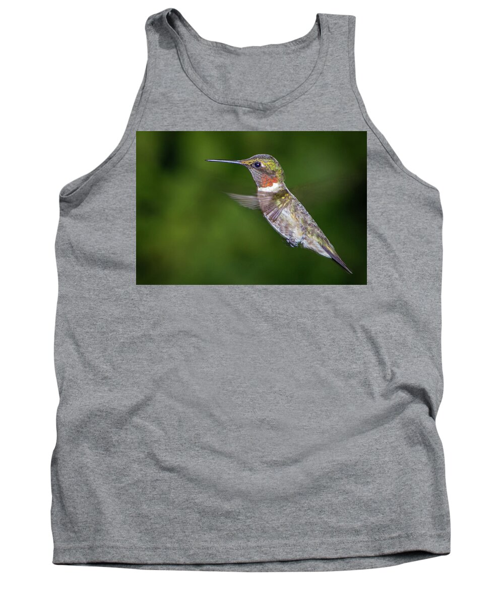 Wildlife Tank Top featuring the photograph Ain't I Cute by John Benedict