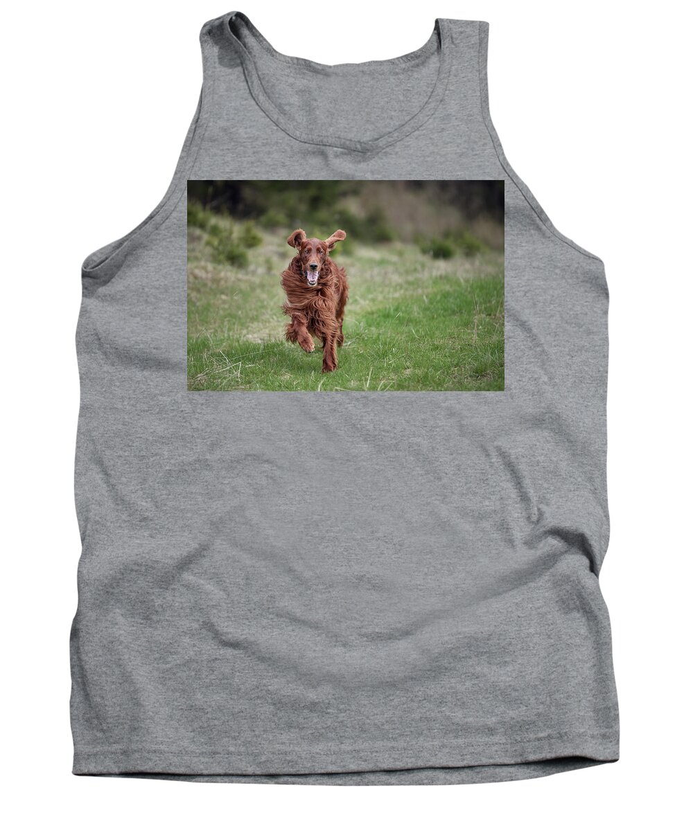 Dog Tank Top featuring the photograph Allegro's march by Robert Krajnc