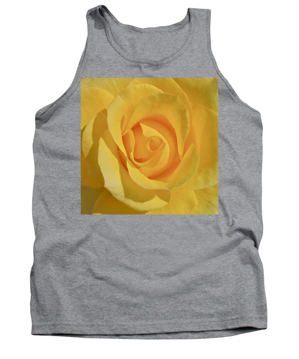 Photograph Or Yellow Rose Tank Top featuring the photograph Amarillo by Gwyn Newcombe