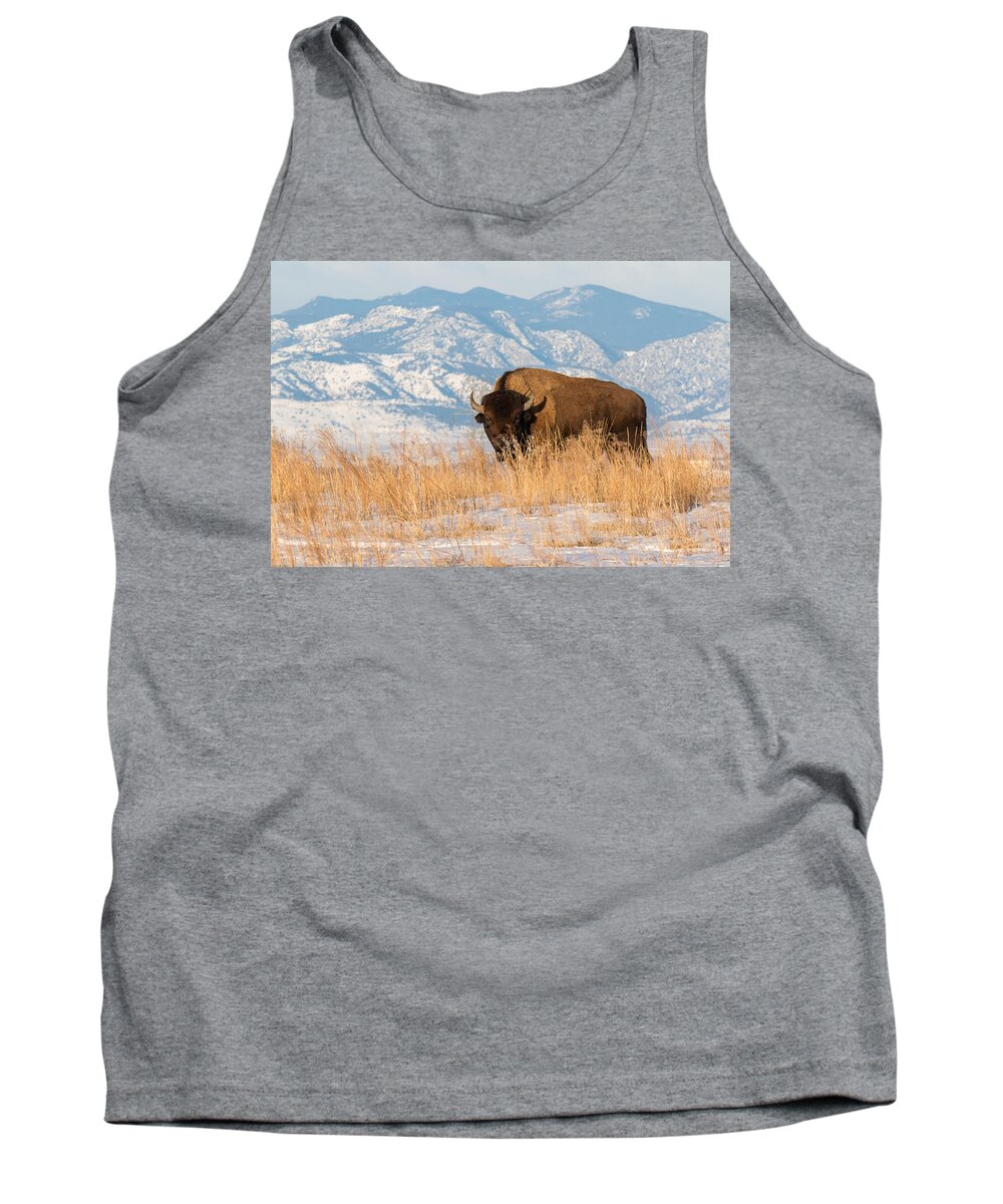 Nature Tank Top featuring the photograph American Bison in Front of the Rocky Mountains by Tony Hake