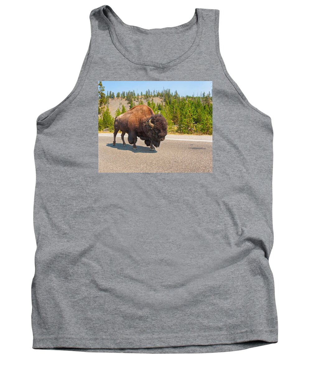 American Bison Tank Top featuring the photograph American Bison Sharing the Road in Yellowstone by John M Bailey