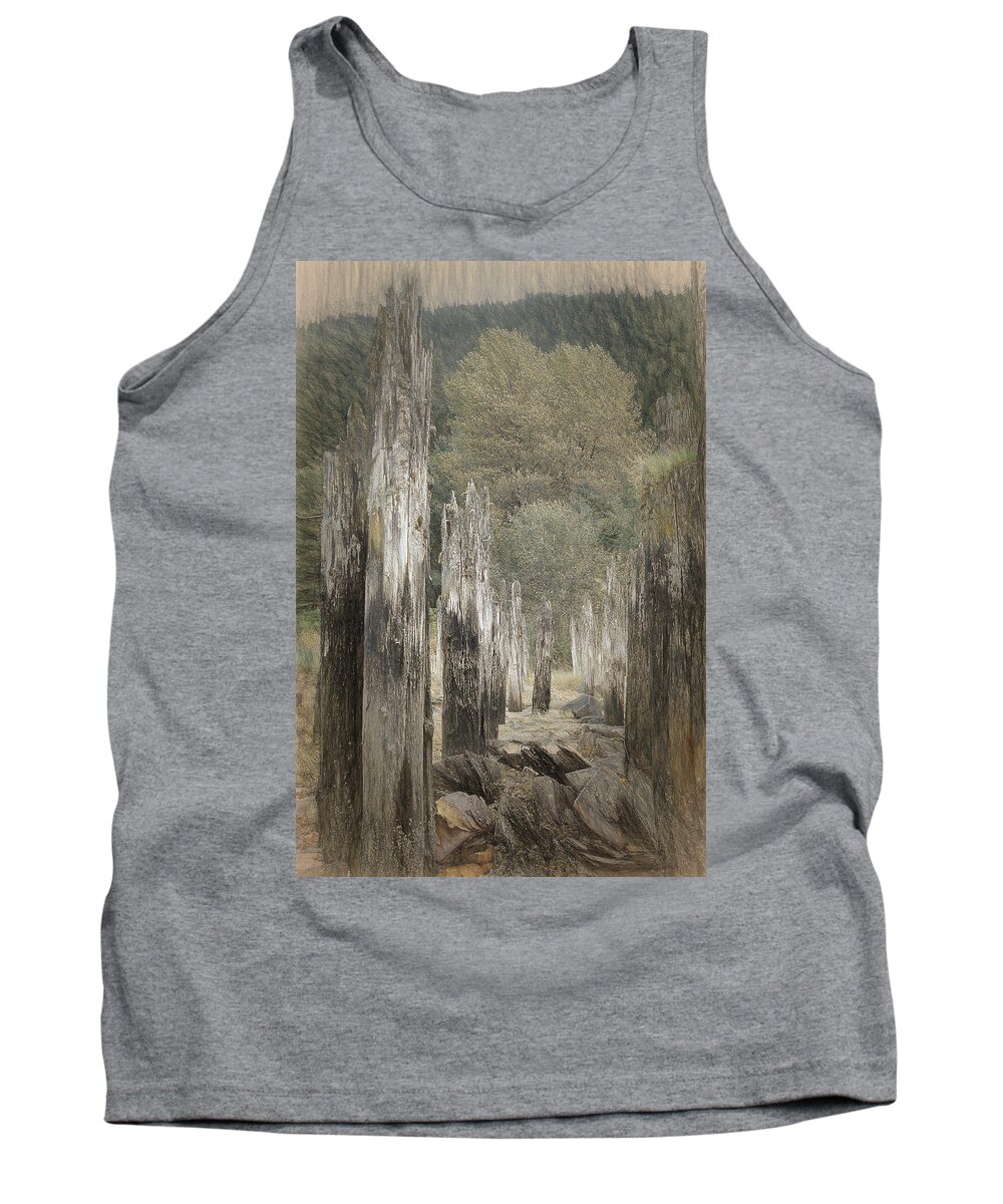 History Tank Top featuring the photograph An Other Time by Susan Stephenson