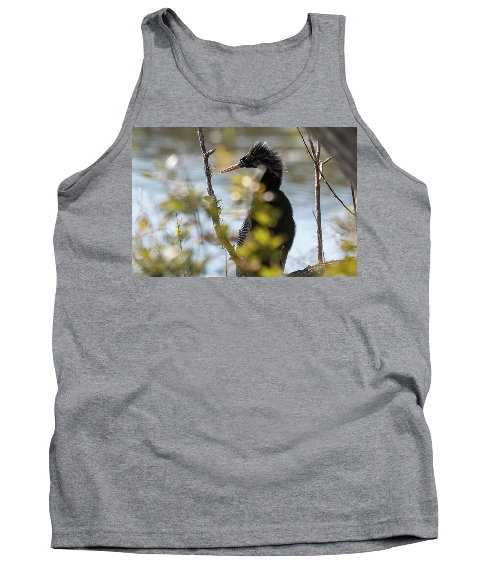 Anhinga Tank Top featuring the photograph Anhinga 3 March 2018 by D K Wall