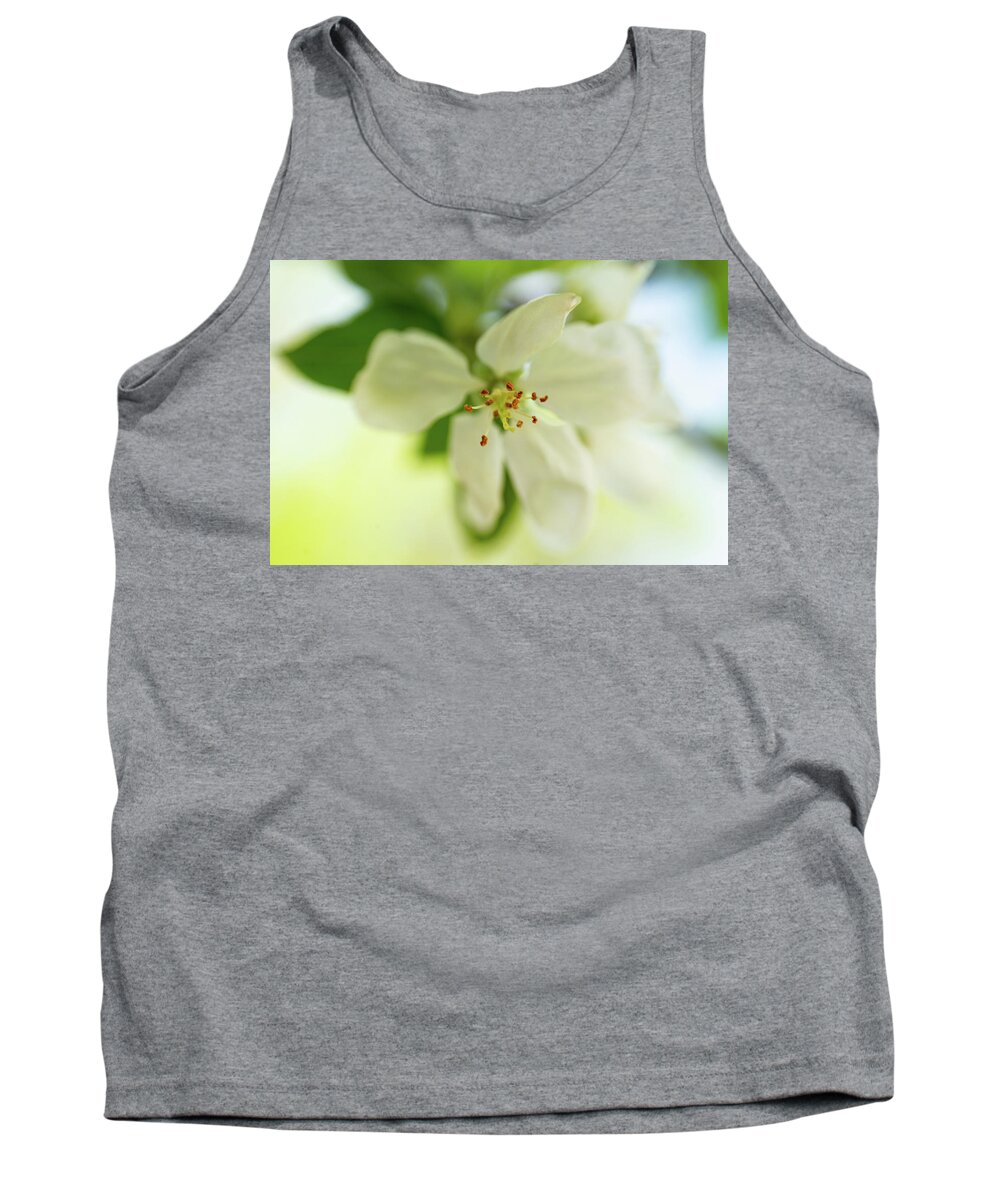 Apple Tank Top featuring the photograph Apple Blossom Time by Pamela Taylor