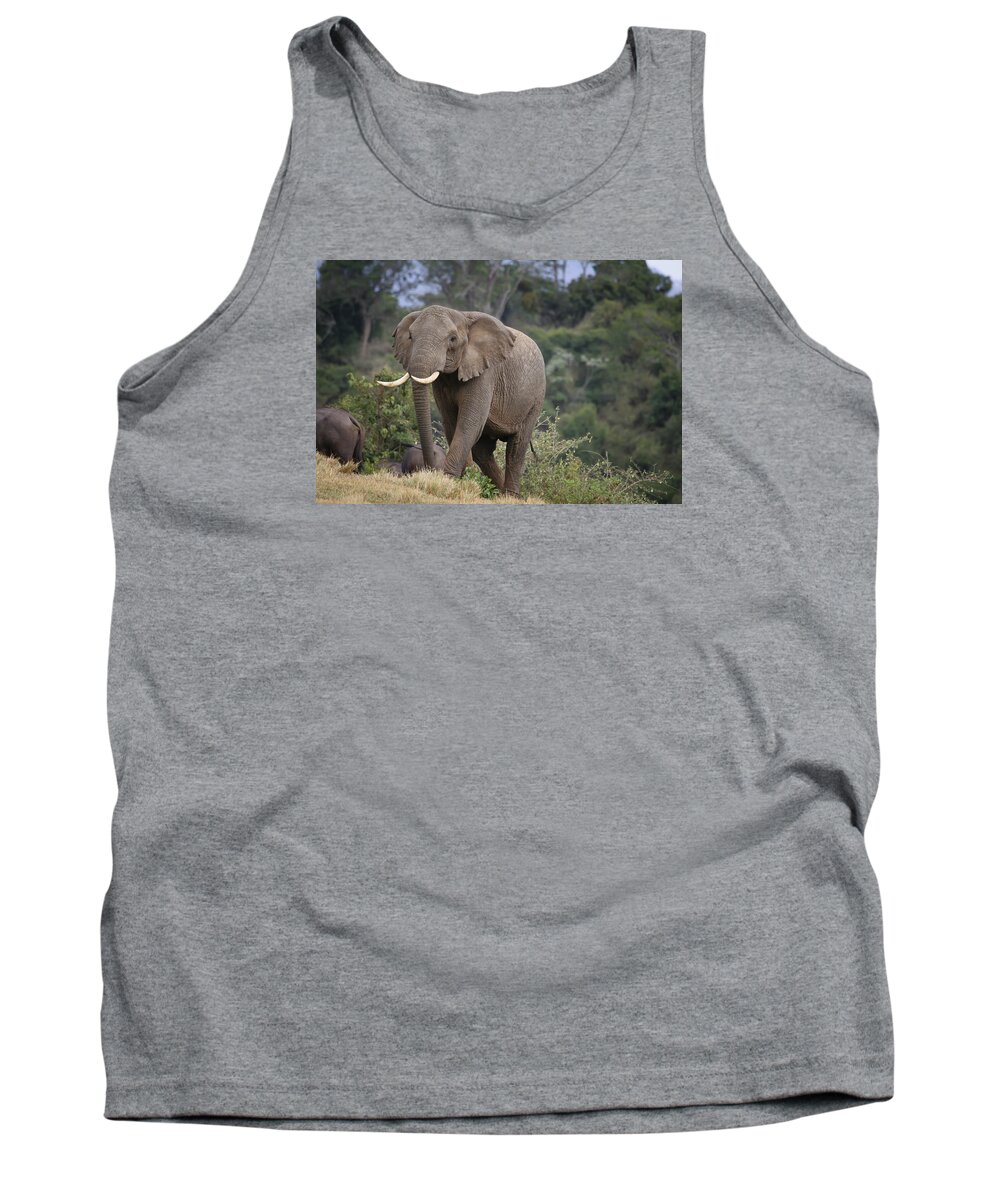 Gary Hall Tank Top featuring the photograph Approaching the Waterhole by Gary Hall