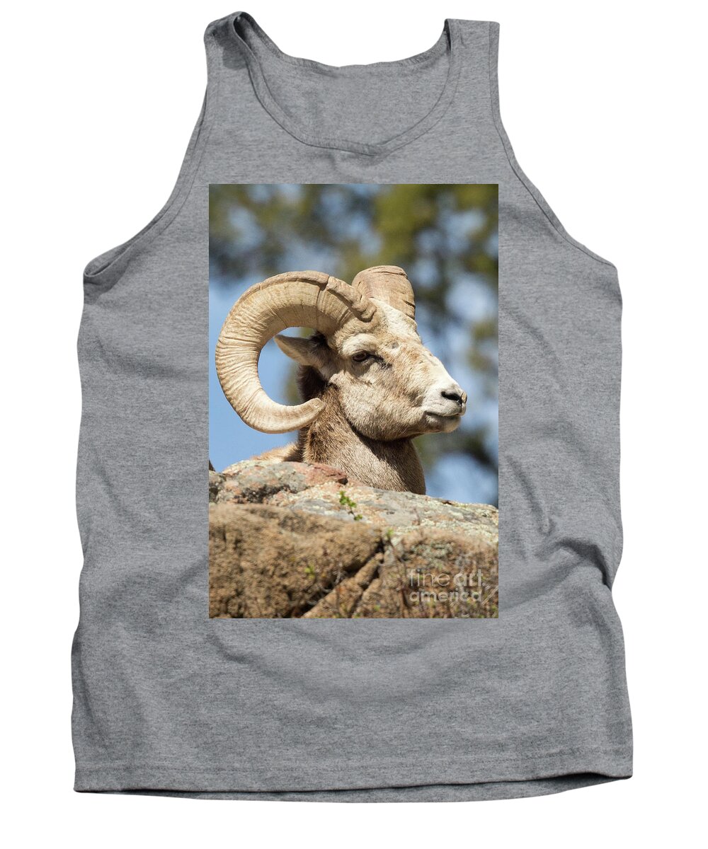 Aries Tank Top featuring the photograph Aries by Natural Focal Point Photography
