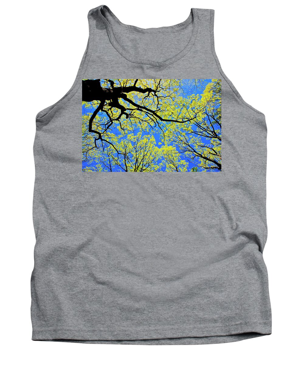 Tree Canopy Tank Top featuring the photograph Artsy Tree Canopy Series, Early Spring - # 03 by The James Roney Collection