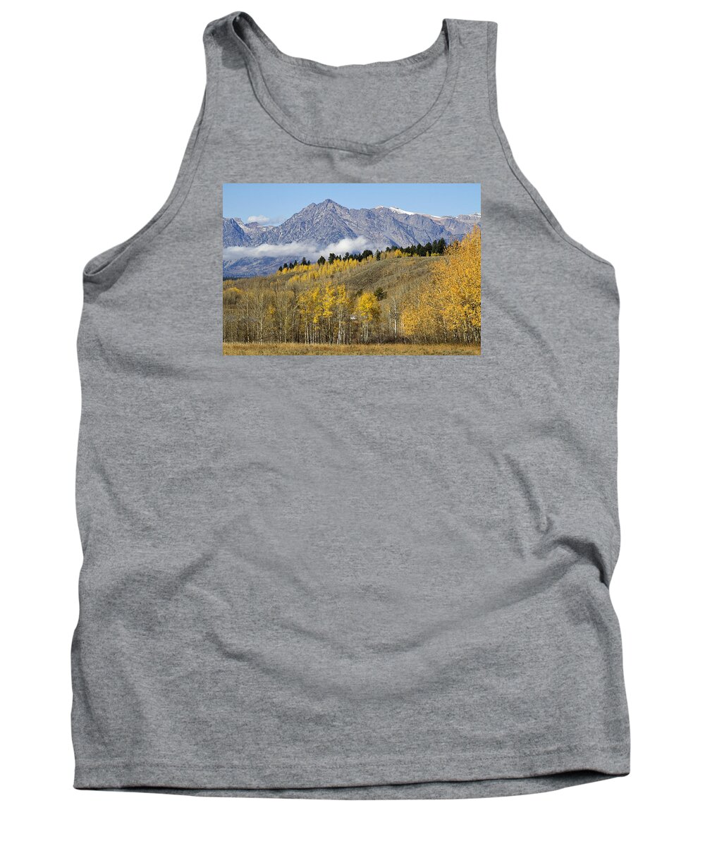 Tetons Tank Top featuring the photograph Aspen colours by Shirley Mitchell