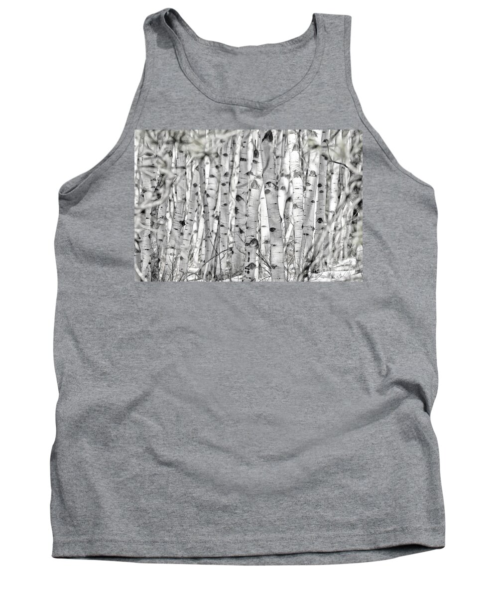 Architecture Tank Top featuring the photograph Aspen Forest IV by Brad Allen Fine Art