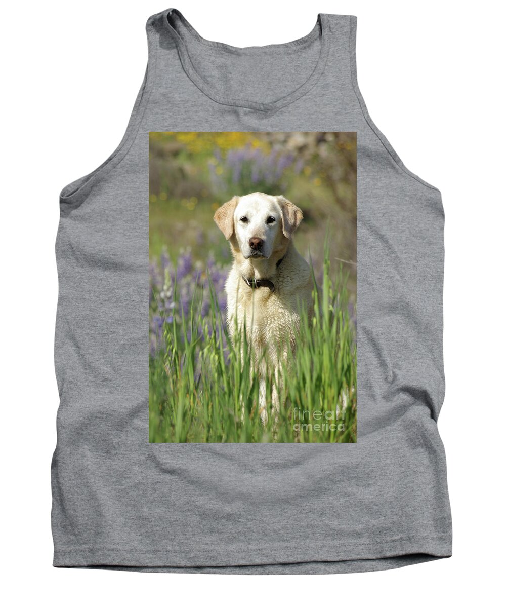 Dog Tank Top featuring the photograph At Attention by Jim And Emily Bush
