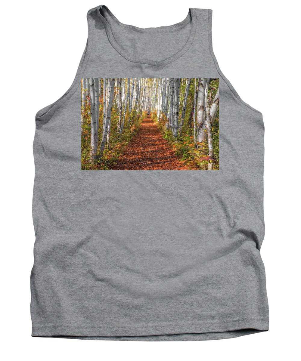 Autumn Tank Top featuring the photograph Autumn Birch Path by White Mountain Images