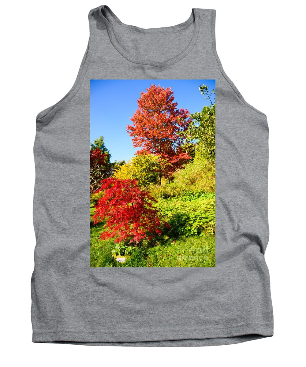 Autumn Tank Top featuring the photograph Autumn colours by Colin Rayner