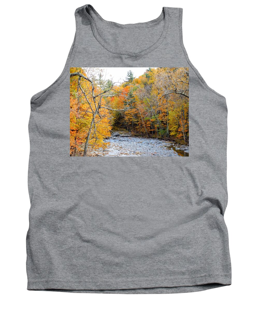 Autumn Creek Tank Top featuring the painting Autumn creek 10 by Jeelan Clark