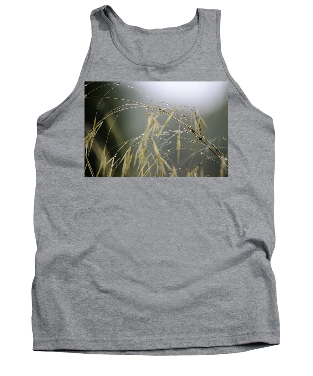 Autumn Tank Top featuring the photograph Autumn dew on grass by Spikey Mouse Photography