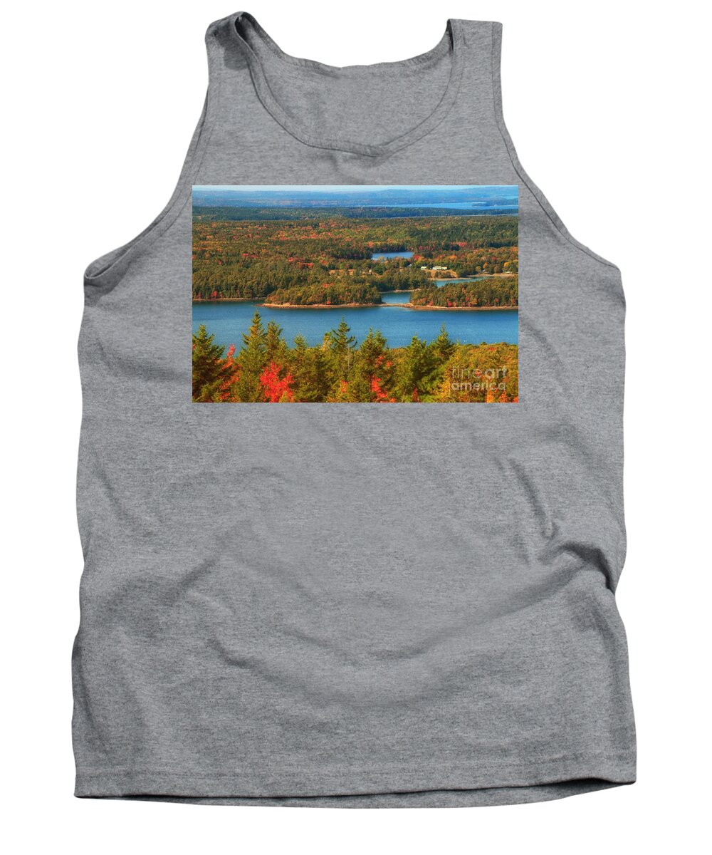Autumn Tank Top featuring the photograph Autumn in Acadia by Elizabeth Dow
