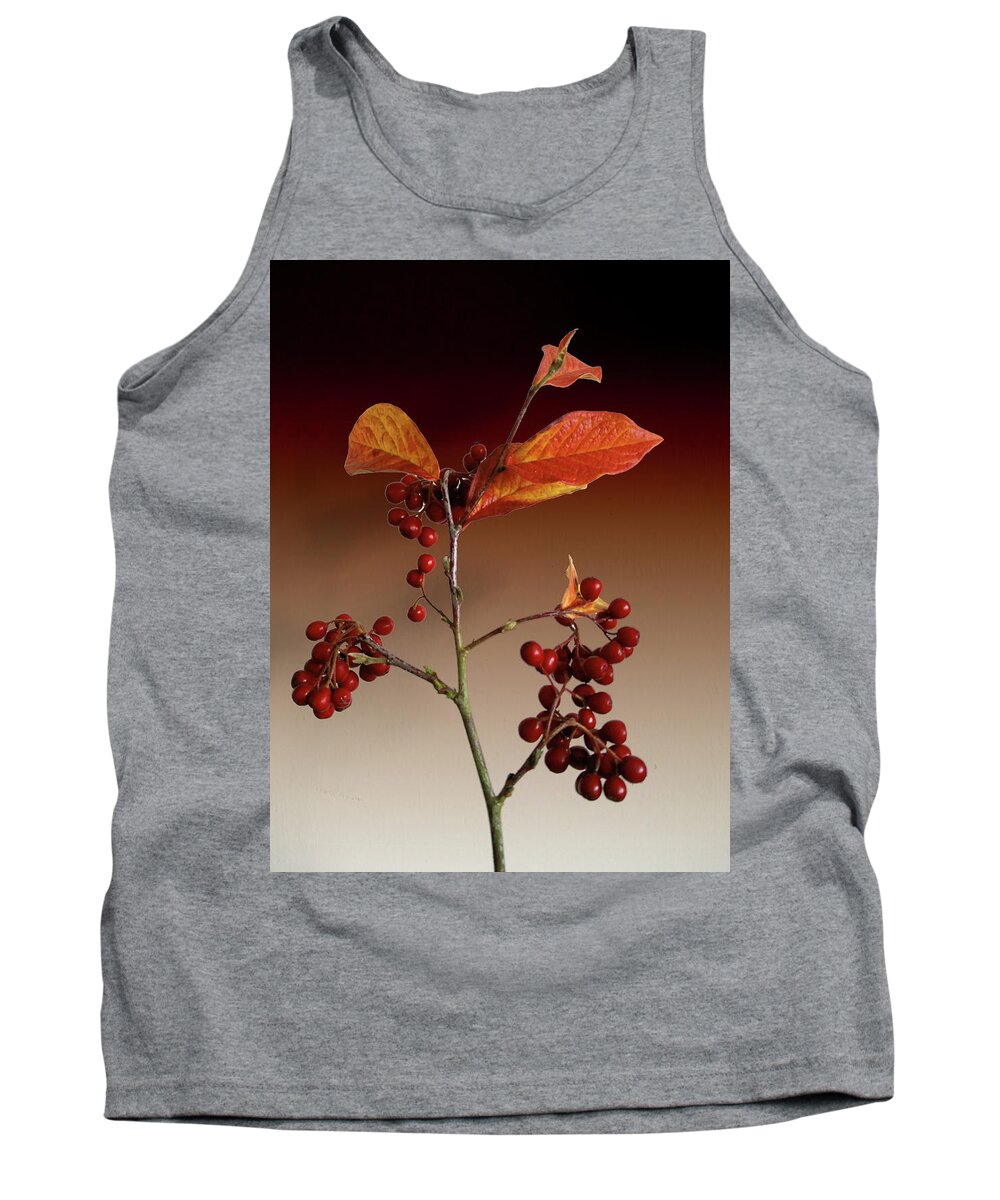 Leafs Tank Top featuring the photograph Autumn leafs and red berries by David French
