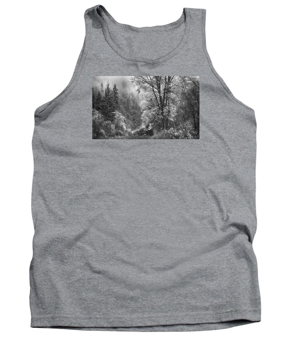 Black And White Tank Top featuring the photograph Autumn Sparkles on Green Mountain by John Poon