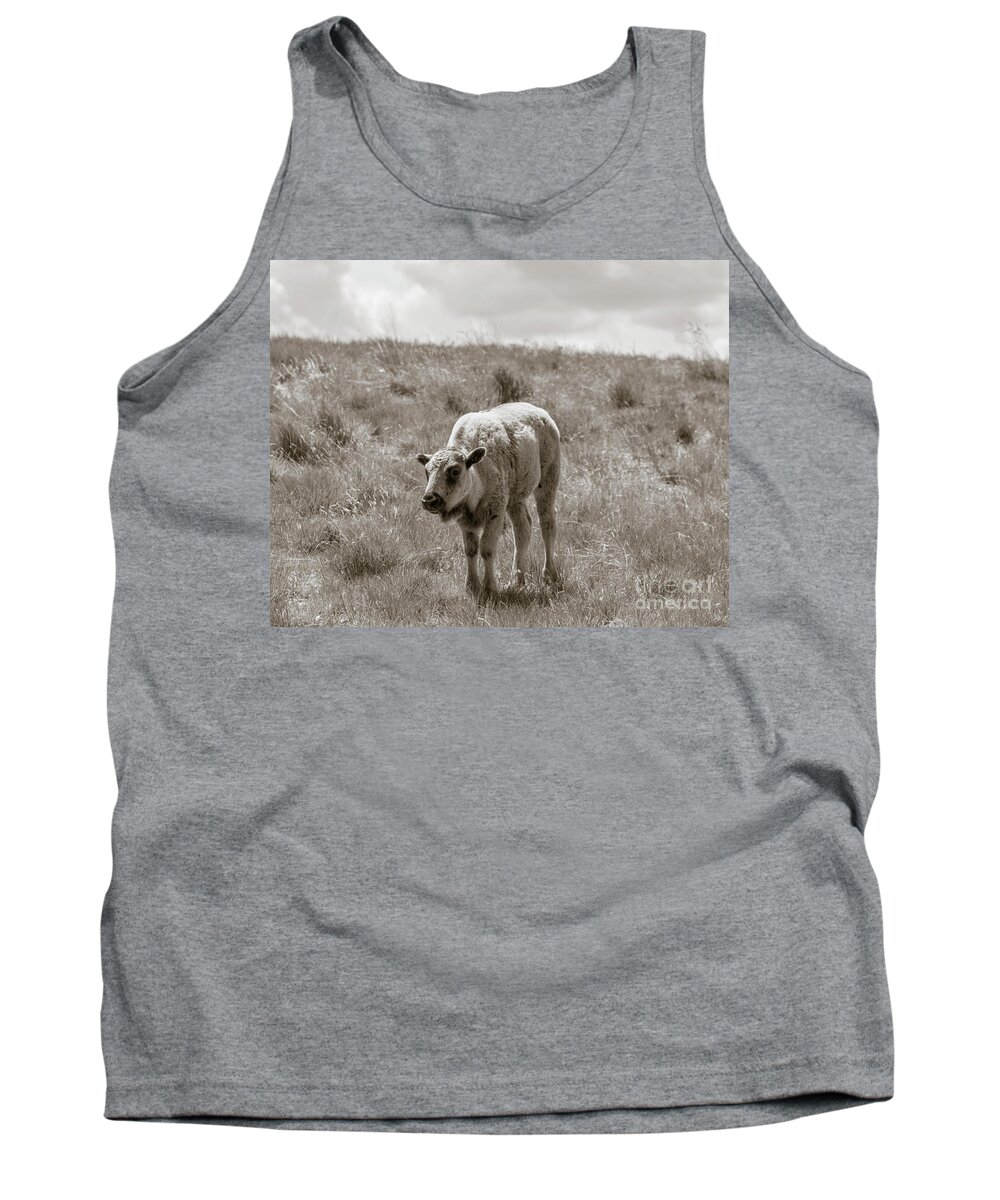 Buffalo Tank Top featuring the photograph Baby buffalo in field with sky by Rebecca Margraf