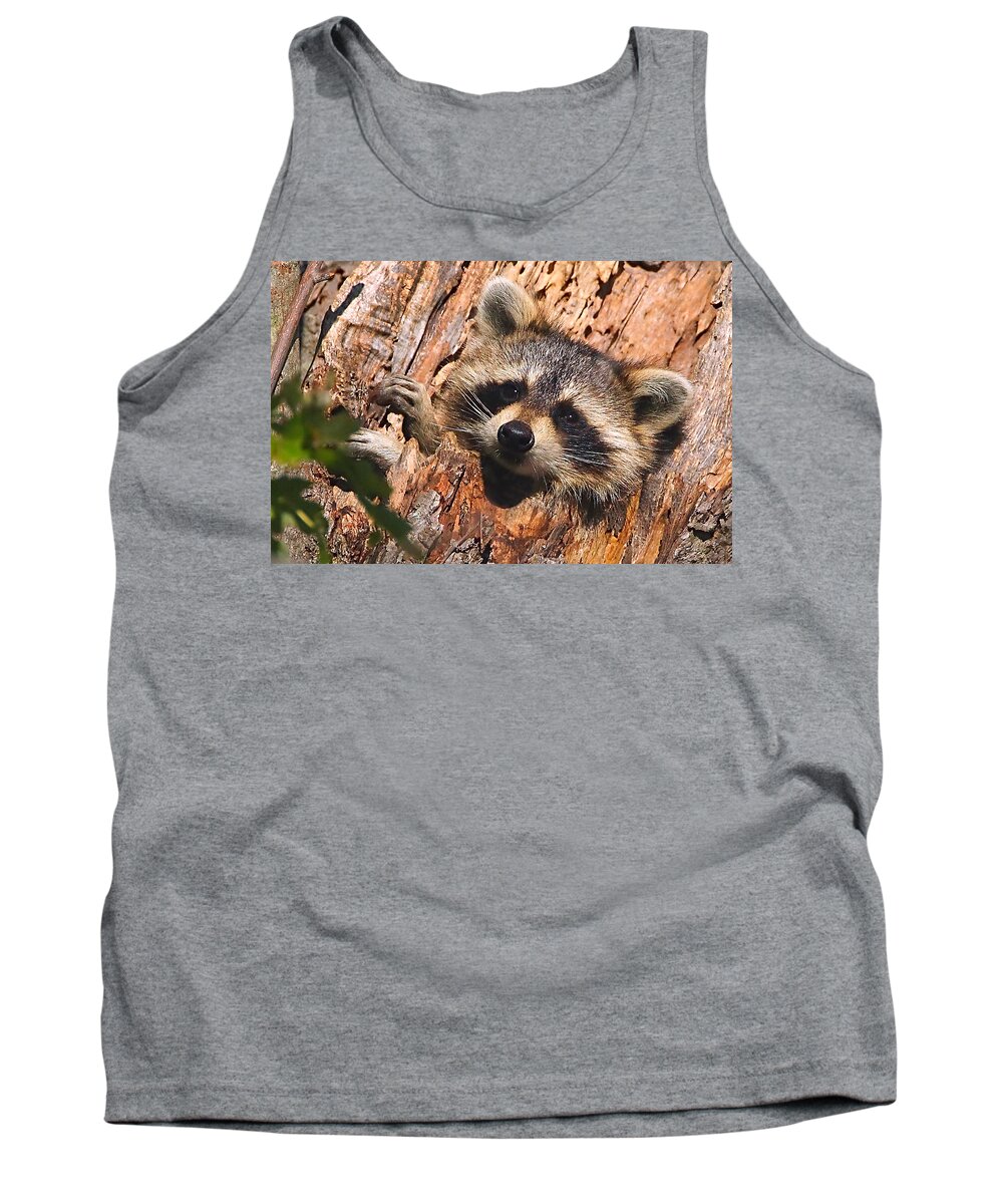Raccoon Tank Top featuring the photograph Baby Raccoon by William Jobes