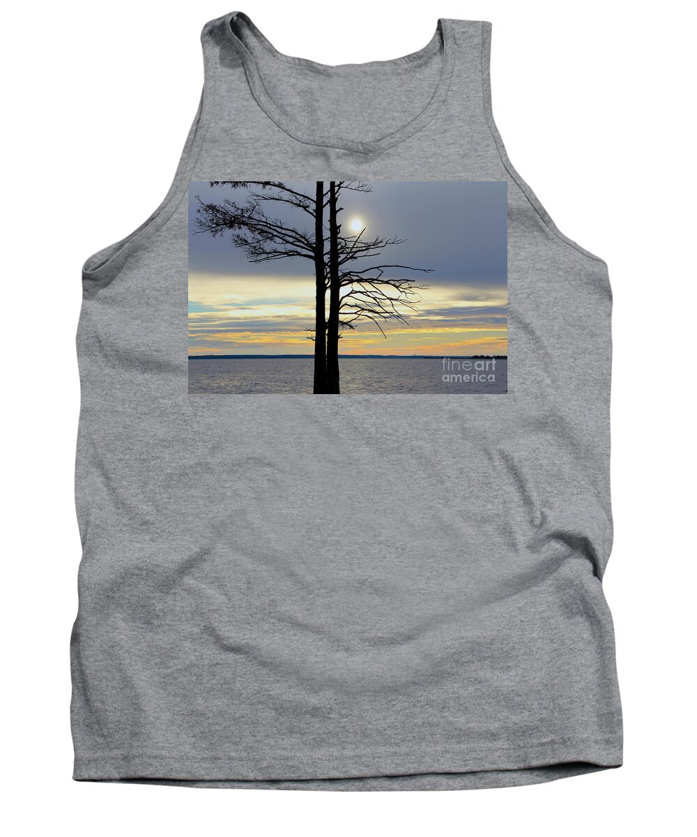 Bald Cypress Silhouette Tank Top featuring the photograph Bald Cypress Silhouette by Karen Jorstad