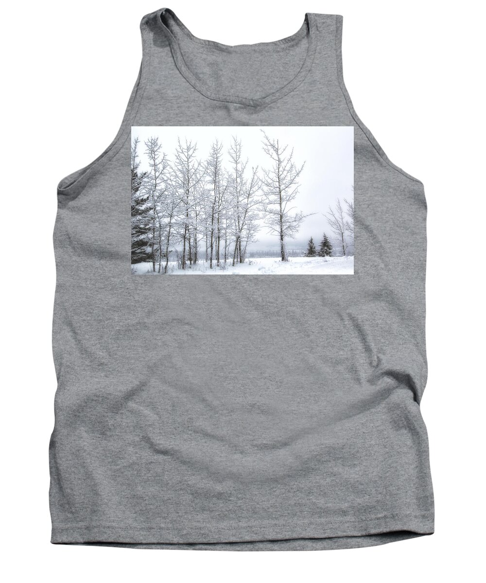 Trees Tank Top featuring the photograph Bare Trees in Winter by Celine Pollard