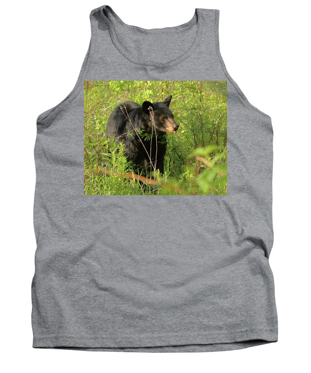 American Black Bear Tank Top featuring the photograph Bear in the grass by Coby Cooper