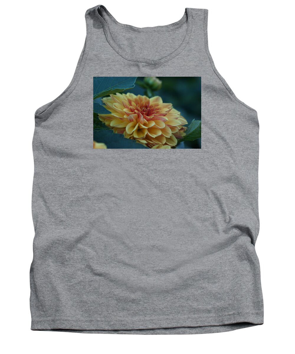 Flowers Tank Top featuring the photograph Beautiful Dahlia 2 by Dimitry Papkov