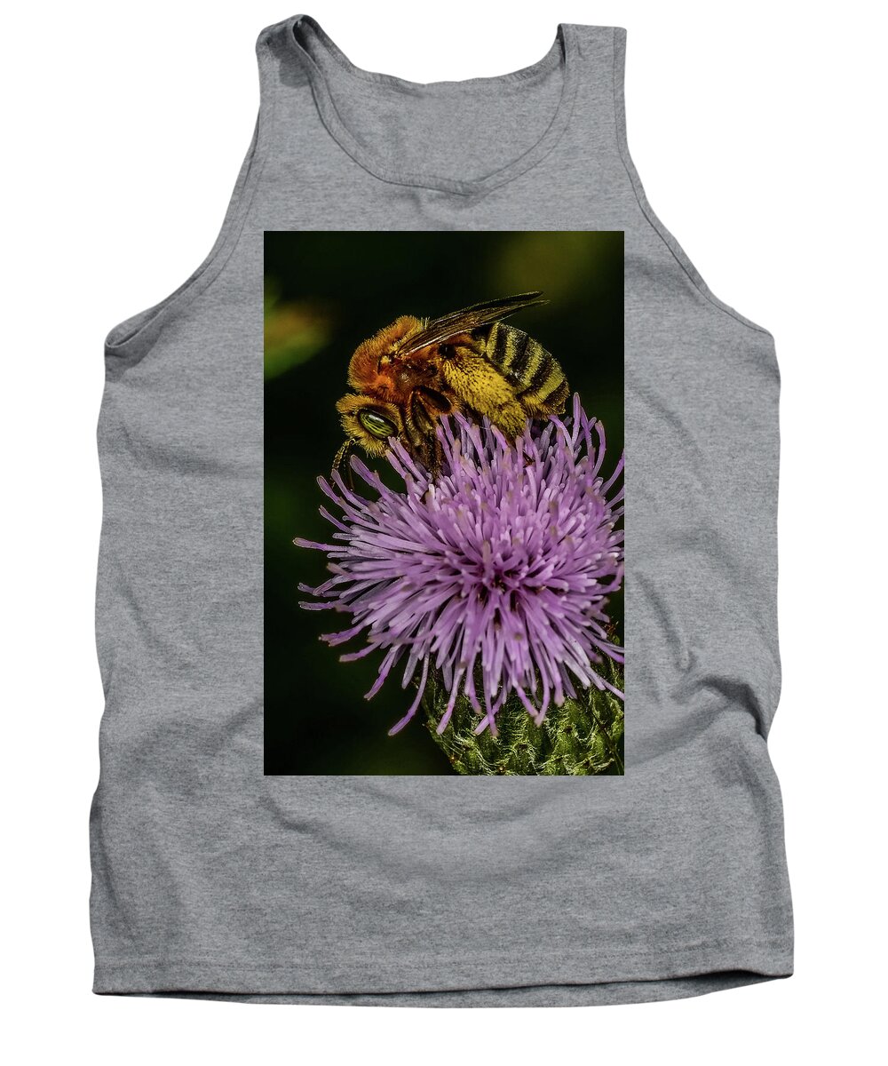 Bee On A Thistle Tank Top featuring the photograph Bee On A Thistle by Paul Freidlund