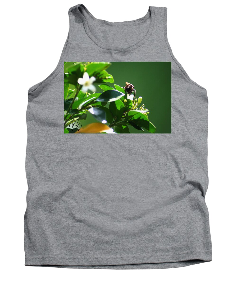 Bee Tank Top featuring the photograph Bee on Jasmine by Shelley Overton