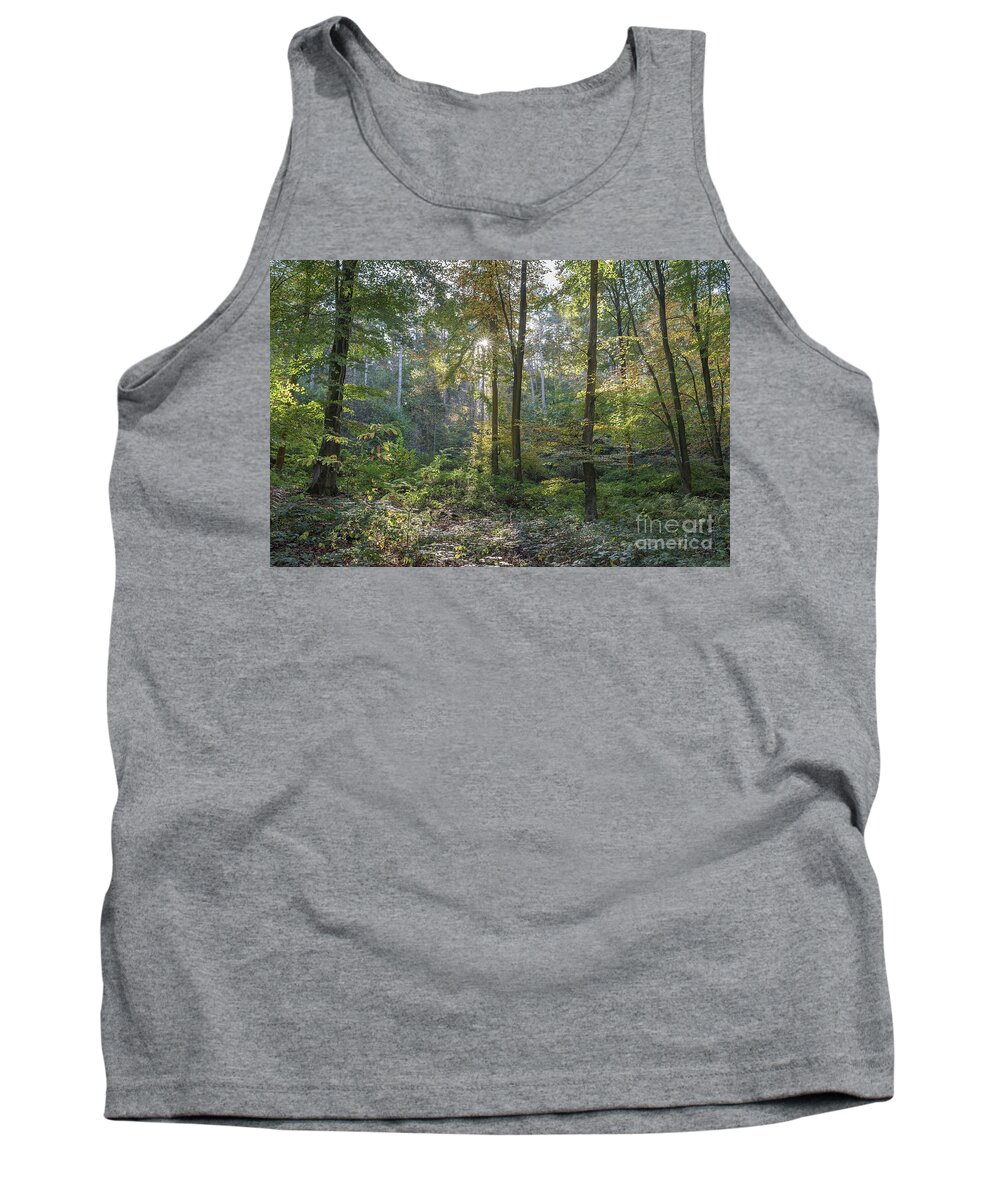 Autumn Tank Top featuring the photograph Beech and Sweet Chestnut Woodland in Autumn by Perry Rodriguez
