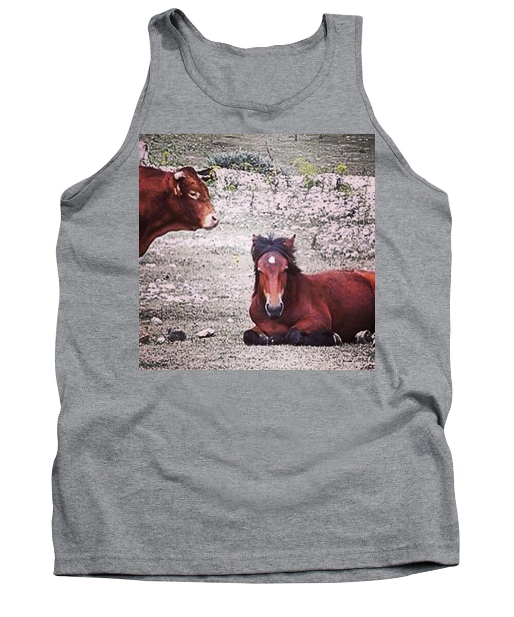 Beautiful Tank Top featuring the photograph Best Friends Hanging Out In The by Charlotte Cooper