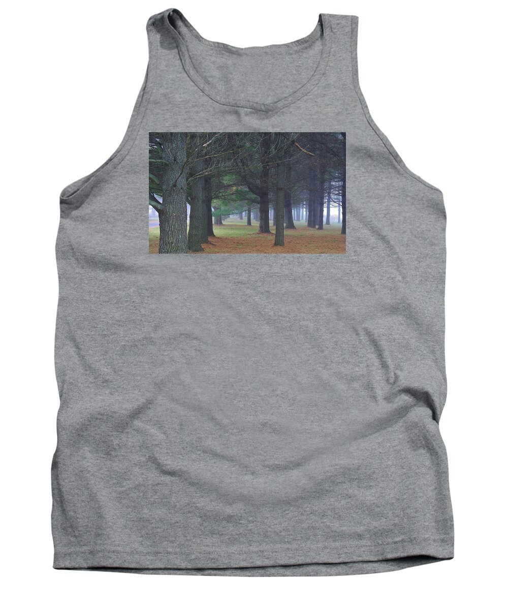 Woodland Tank Top featuring the photograph Beyond the Pines by Bruce Bley