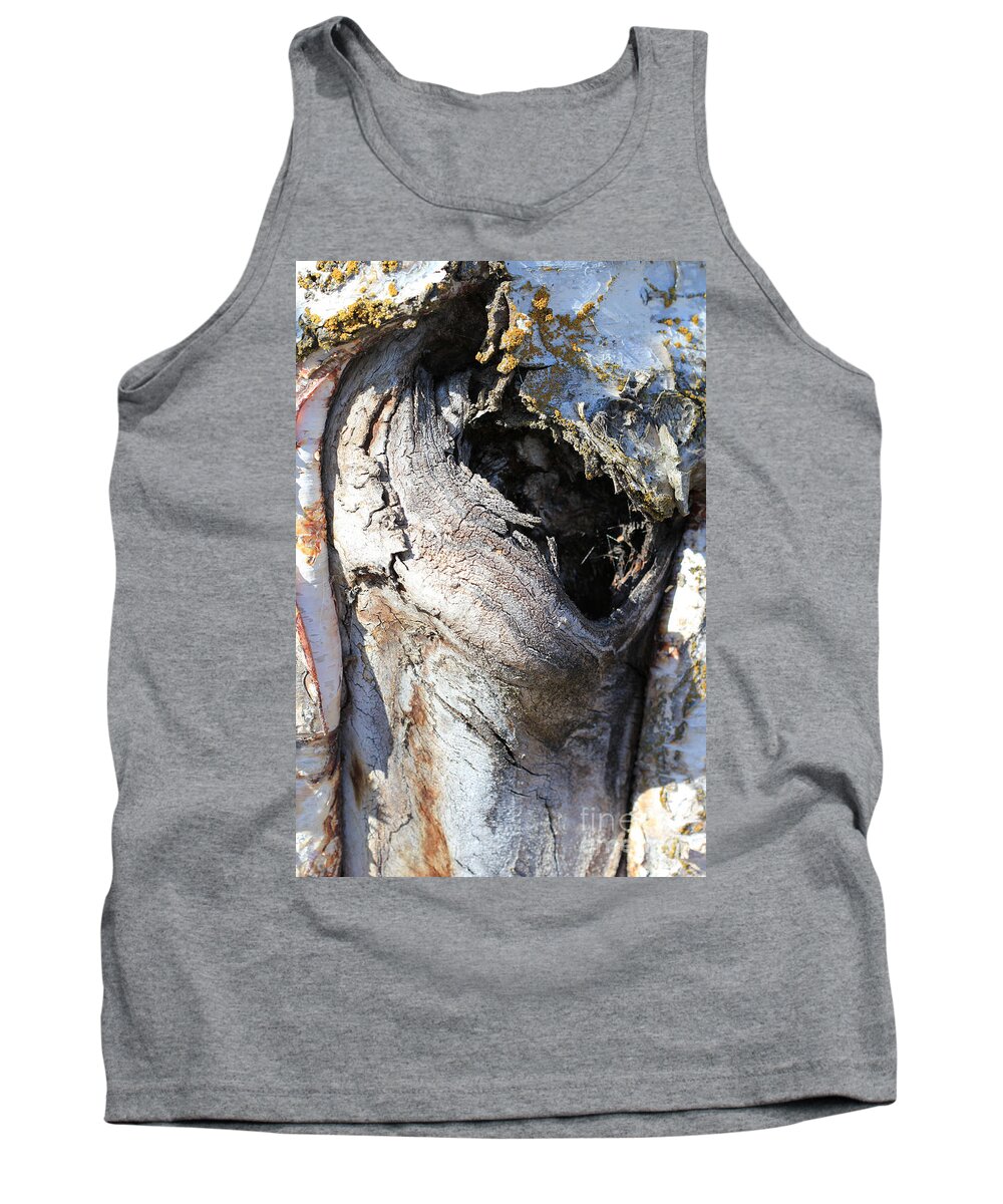Old Tank Top featuring the photograph Birch by Annekathrin Hansen
