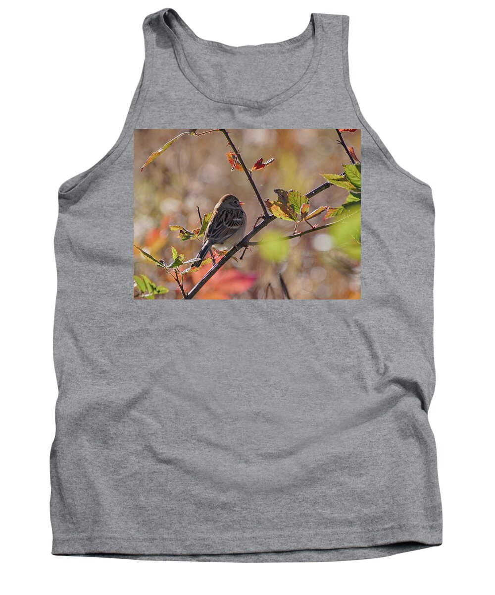 Birds Tank Top featuring the photograph Bird in Tree by Paul Ross