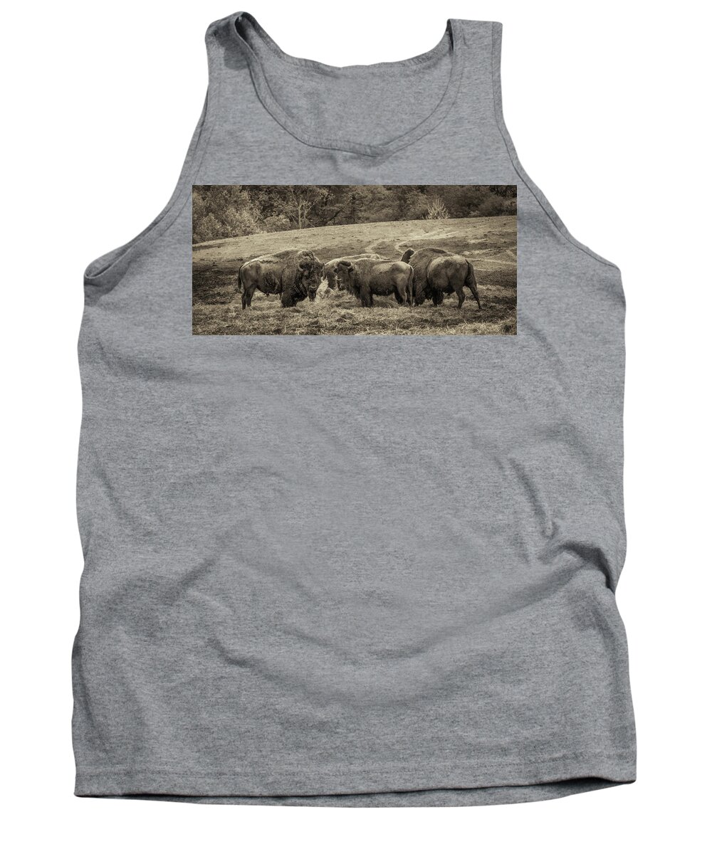 Bison Tank Top featuring the photograph Bison 1 - pano by Joye Ardyn Durham