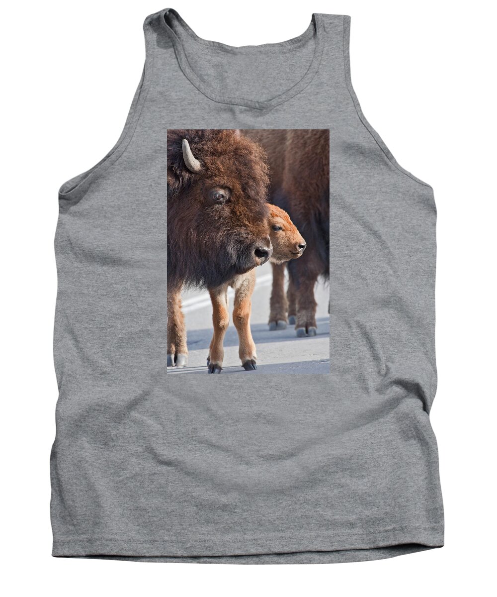 Bison Tank Top featuring the photograph Bison and Calf by Wesley Aston