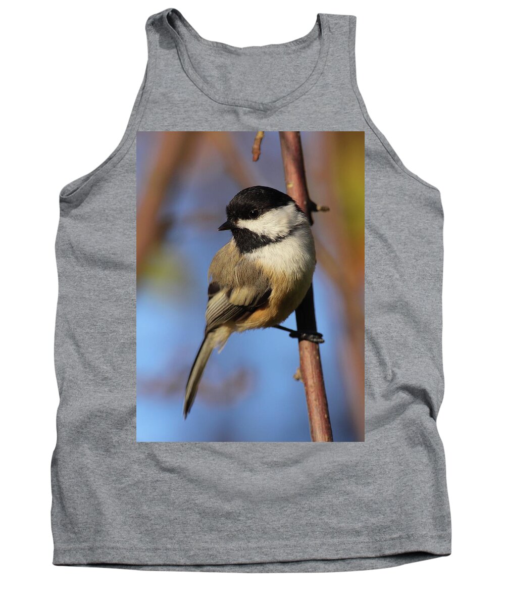 Chickadee Tank Top featuring the photograph Black-capped Chickadee by Bruce J Robinson