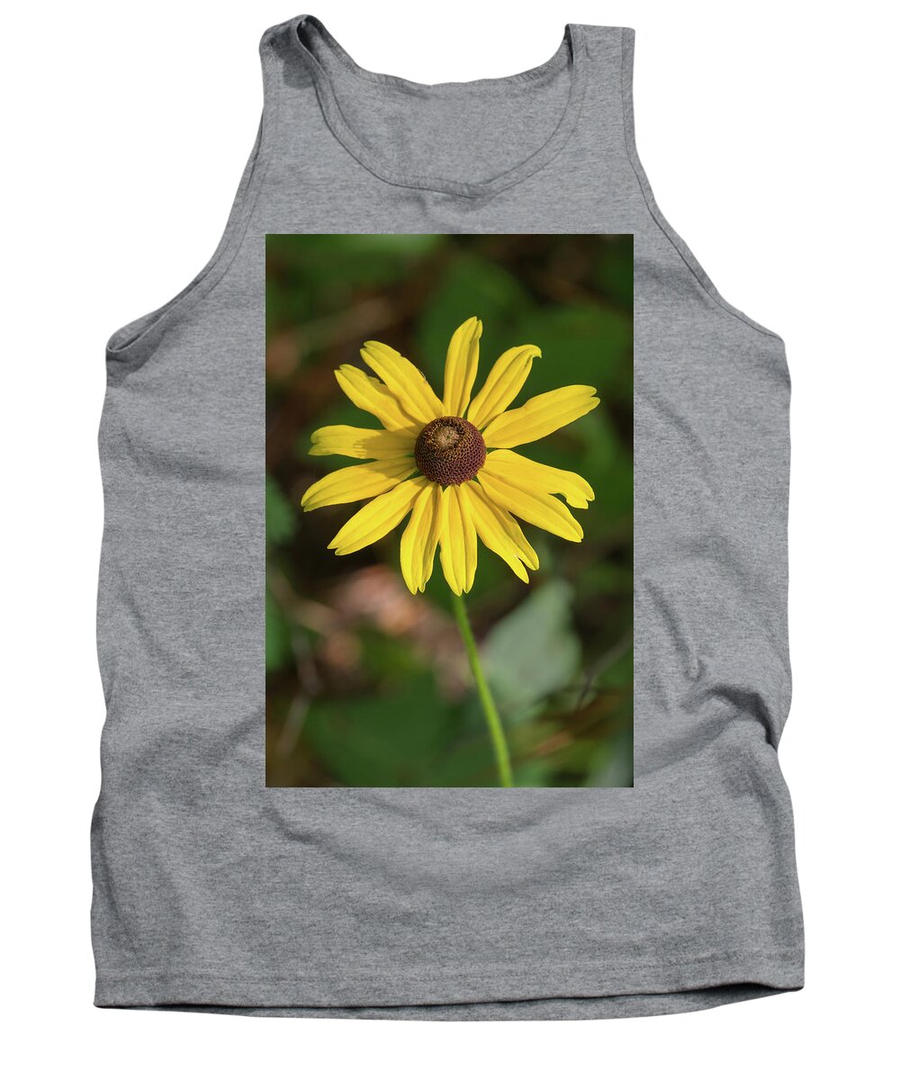 Blackeyed Susan Tank Top featuring the photograph Blackeyed Susan by Paul Rebmann