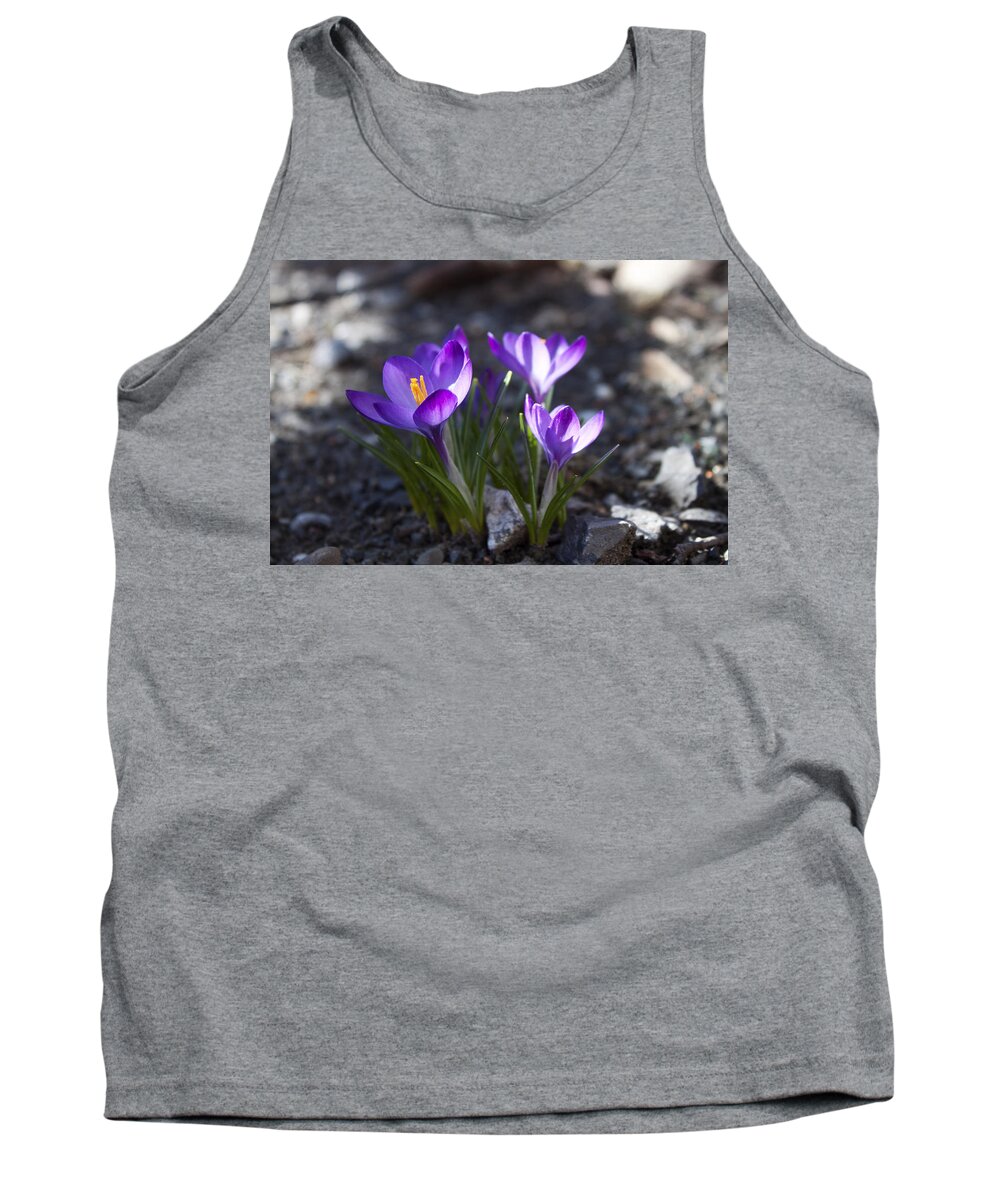Flower Tank Top featuring the photograph Blooming Crocus #3 by Jeff Severson