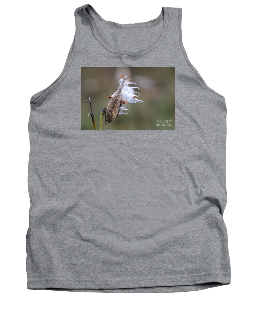 Milkweed Tank Top featuring the photograph Blowing in the Wind by Cindy Manero