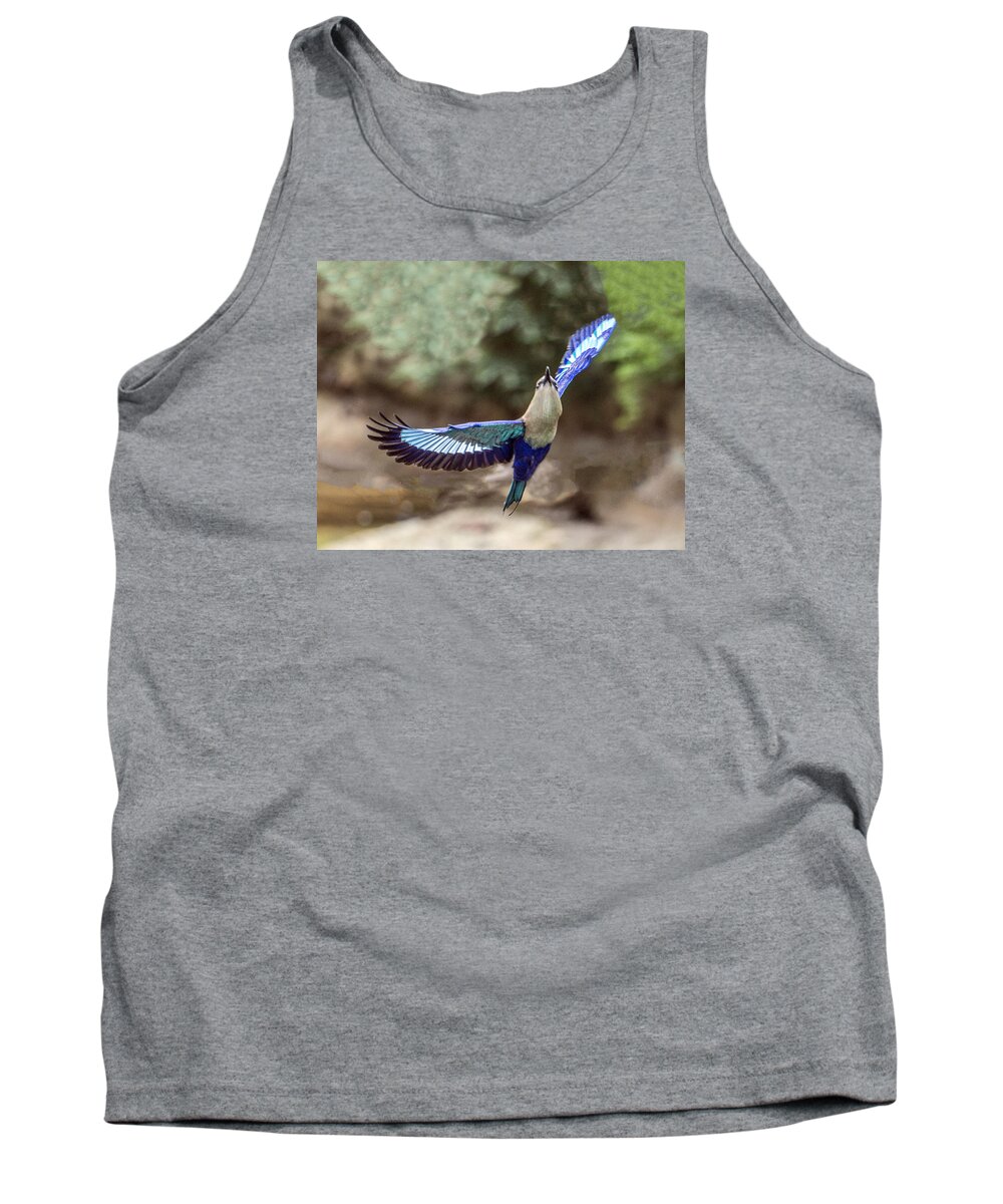Bird Tank Top featuring the photograph Blue-bellied Roller In Flight by William Bitman