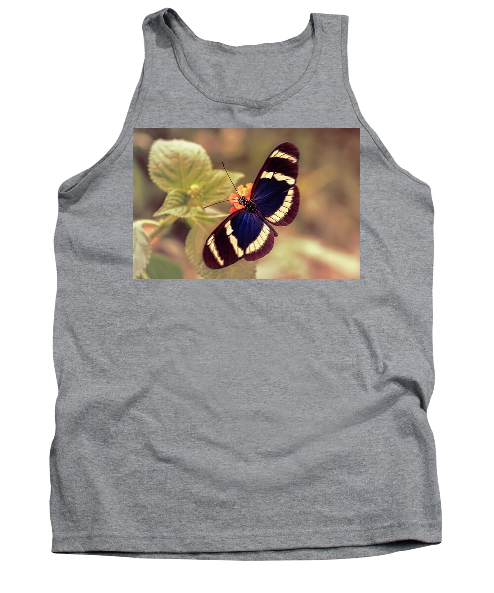 Butterfly Tank Top featuring the photograph Blue Doris Longwing Butterfly by Tim Abeln