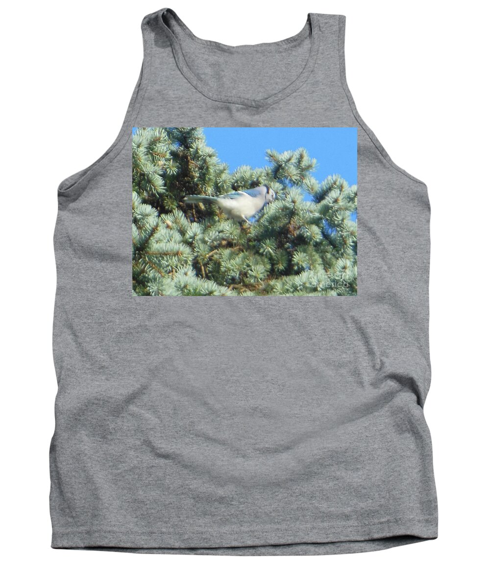 Blue Jay Tank Top featuring the photograph Blue Jay Colorado Spruce by Rockin Docks Deluxephotos