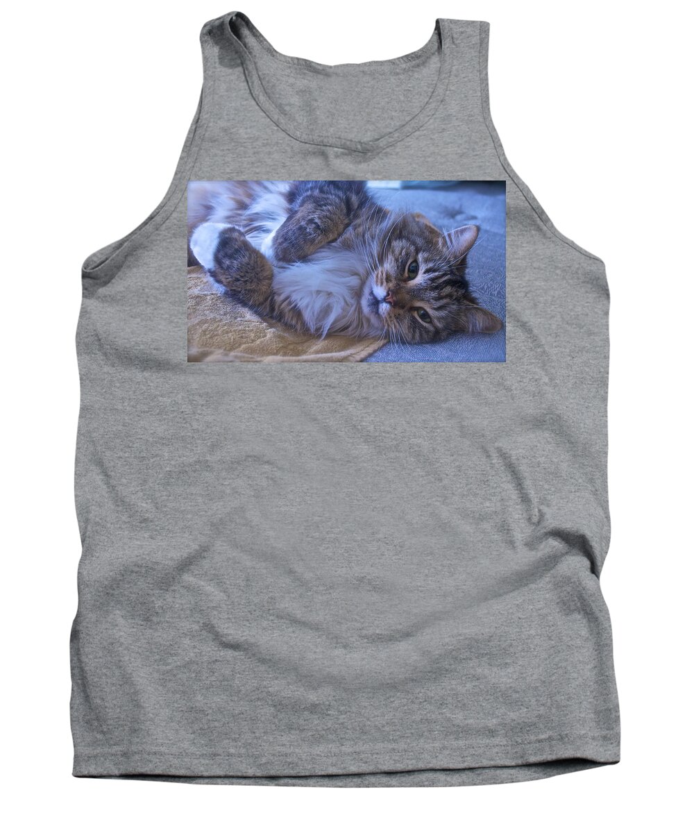 Cat Tank Top featuring the photograph Blue Oblivion by Gwyn Newcombe