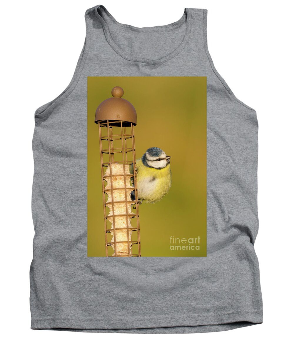 Blue Tit Tank Top featuring the photograph Blue tit on feeder by Steev Stamford
